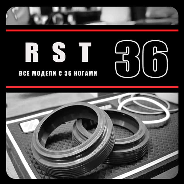 RST 36мм | cальники RacingBros | фланцевые