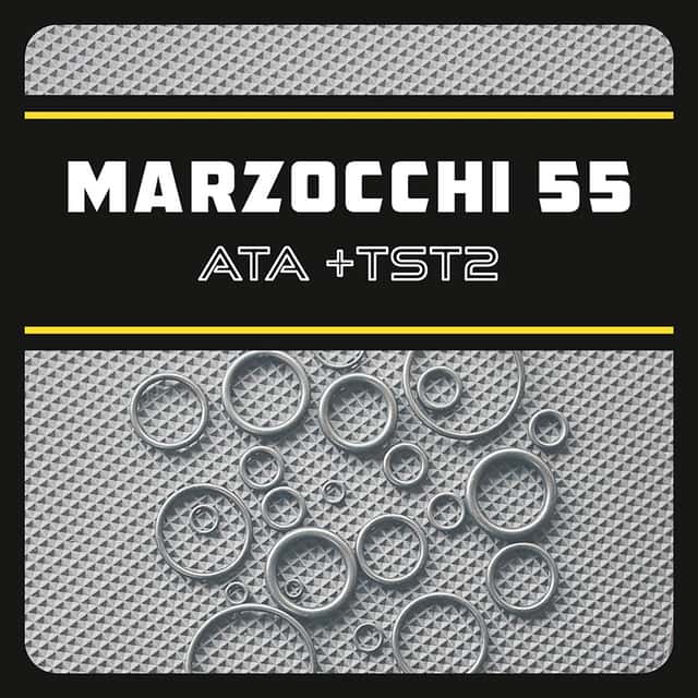 Комплект уплотнителей вилки Marzocchi 55 ATA | TST2